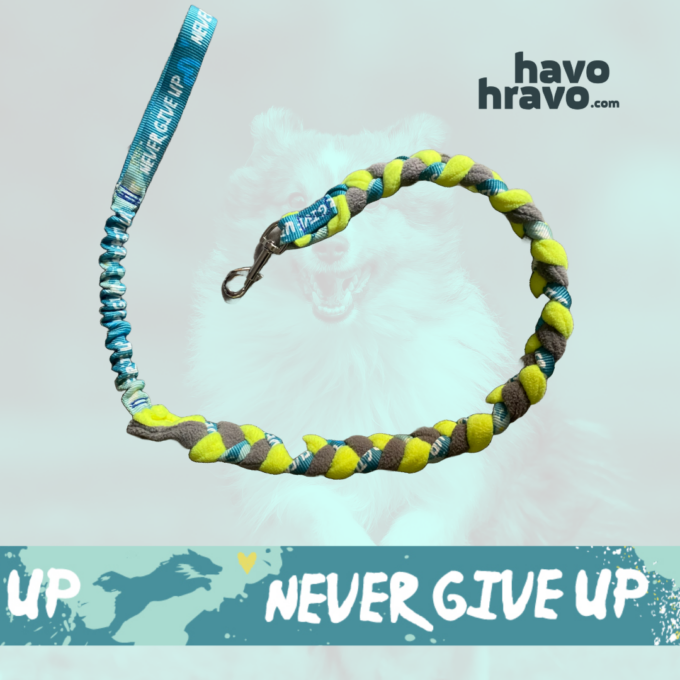Braided Tuggy Leash Never Give Up Mint - Image 3
