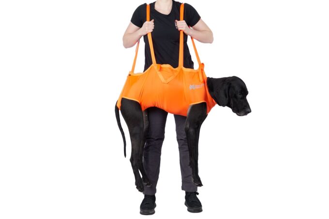 Dog Rescue Sling