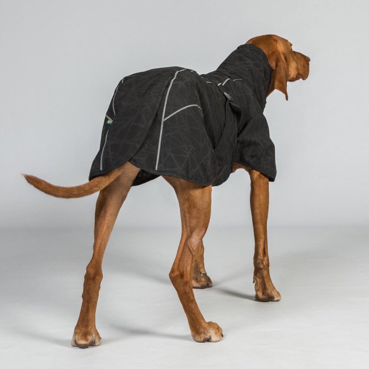 3239BAYRainDogCoat_LowsettailBlackDetail02Web