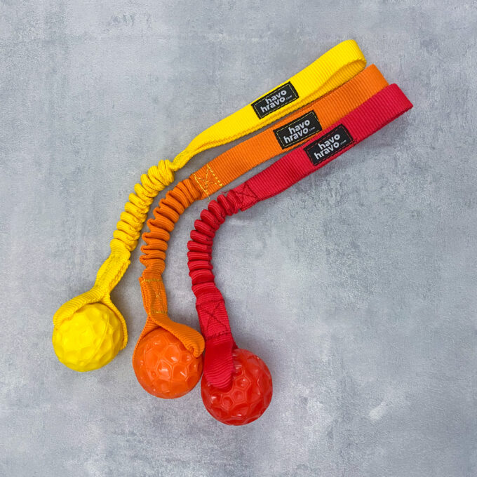 Tuggy Basic Geo Standard – Bild 2