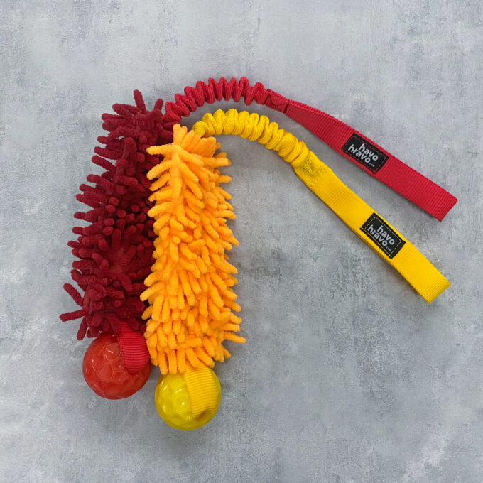 Tuggy Anemone Geo Standard - Image 3