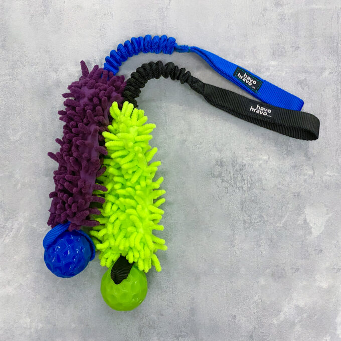 Tuggy Anemone Geo Standard - Image 2