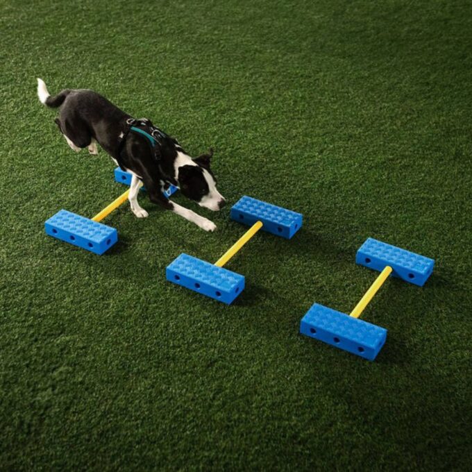 FitPAWS fitKinect Xtra – Bild 3