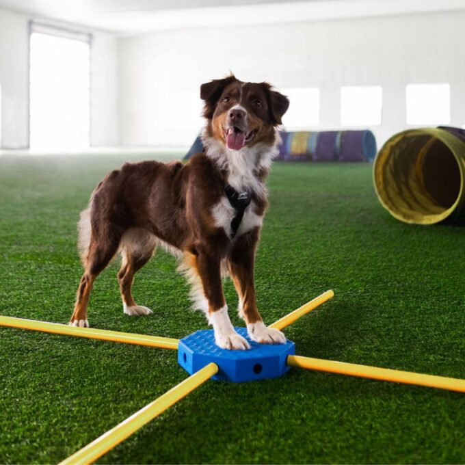 FitPAWS fitKinect Upgrade Kit Achteckblöcke – Bild 2