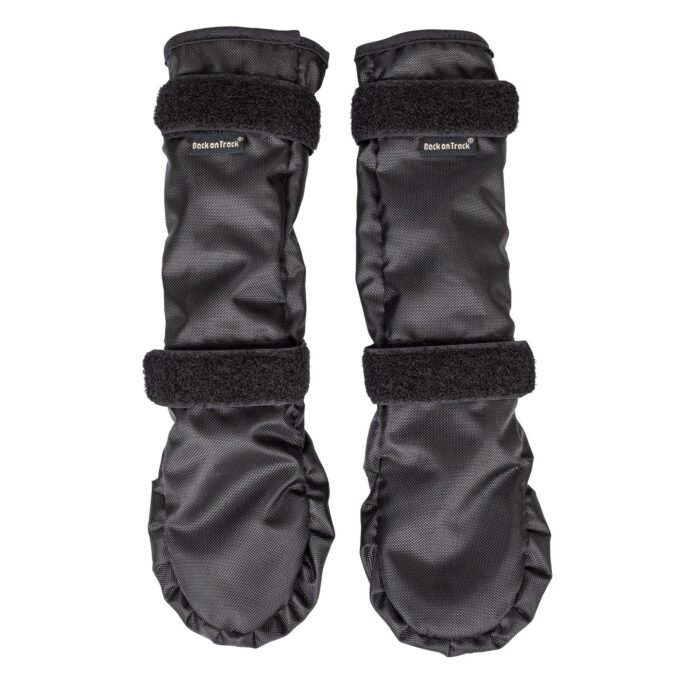 Pfotenschutz Lola – Bild 2