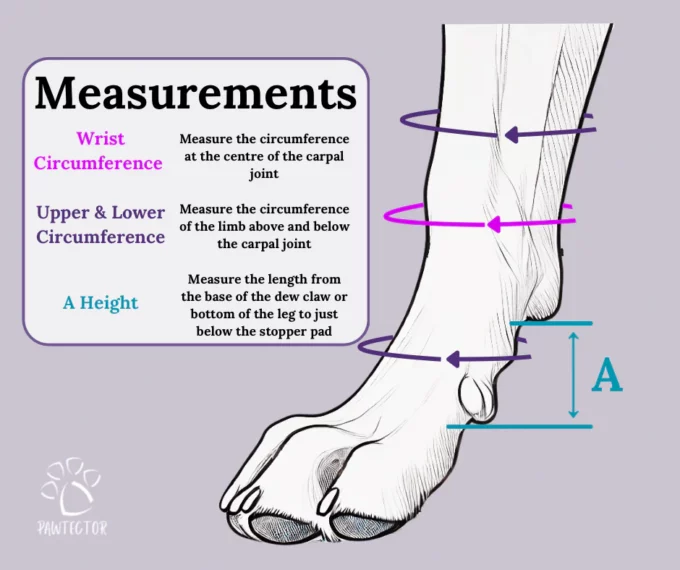 CarpiFlex Sport Wraps - Image 3