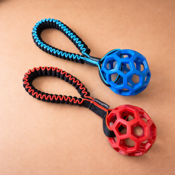 Tuggy Basic & Hol-EE-Roller – Bild 3