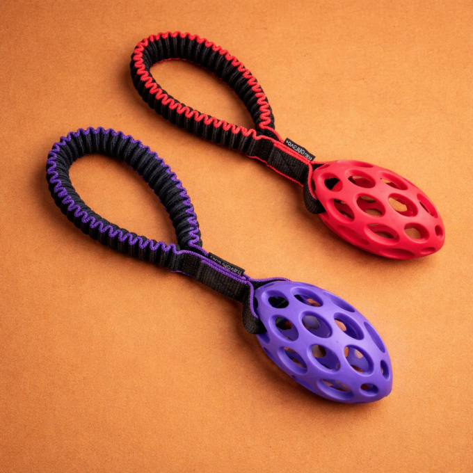 Tuggy Basic & Hol-EE-Football – Bild 2