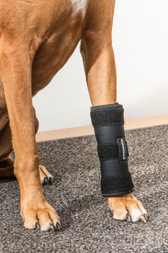 Karpalgelenk-Bandage - Ausführung Light