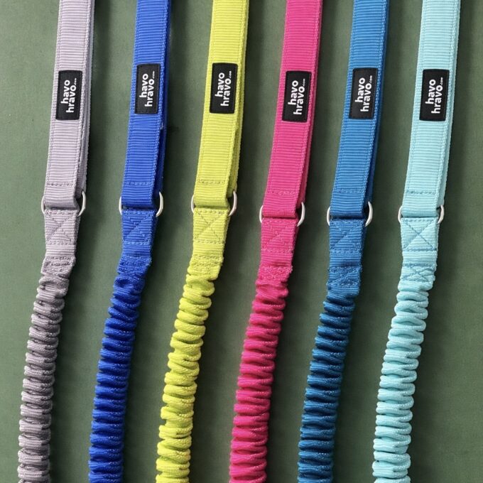 Hiking Dog Leash - Image 3