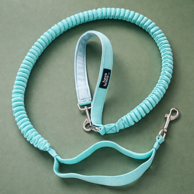 Hiking Dog Leash - Image 2