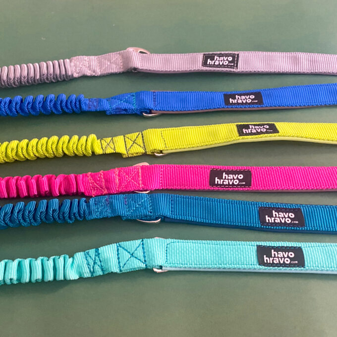 Hiking Dog Leash - Image 3