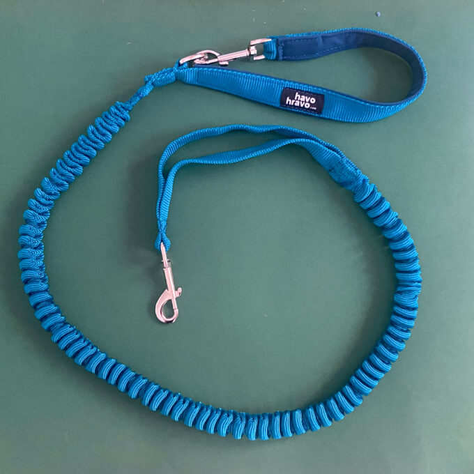 Hiking Dog Leash - Image 2