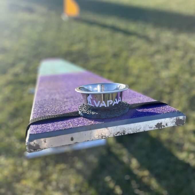 Seesaw Target with Bowl - Image 2