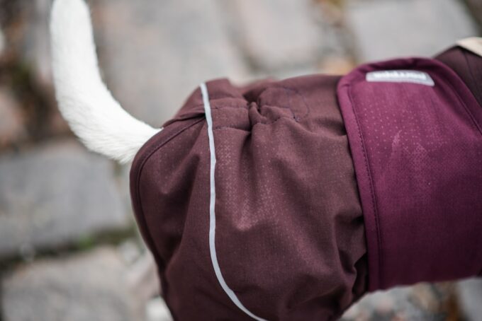 Arctic Pomppa – Bild 7